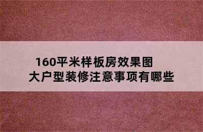 160平米样板房效果图     大户型装修注意事项有哪些